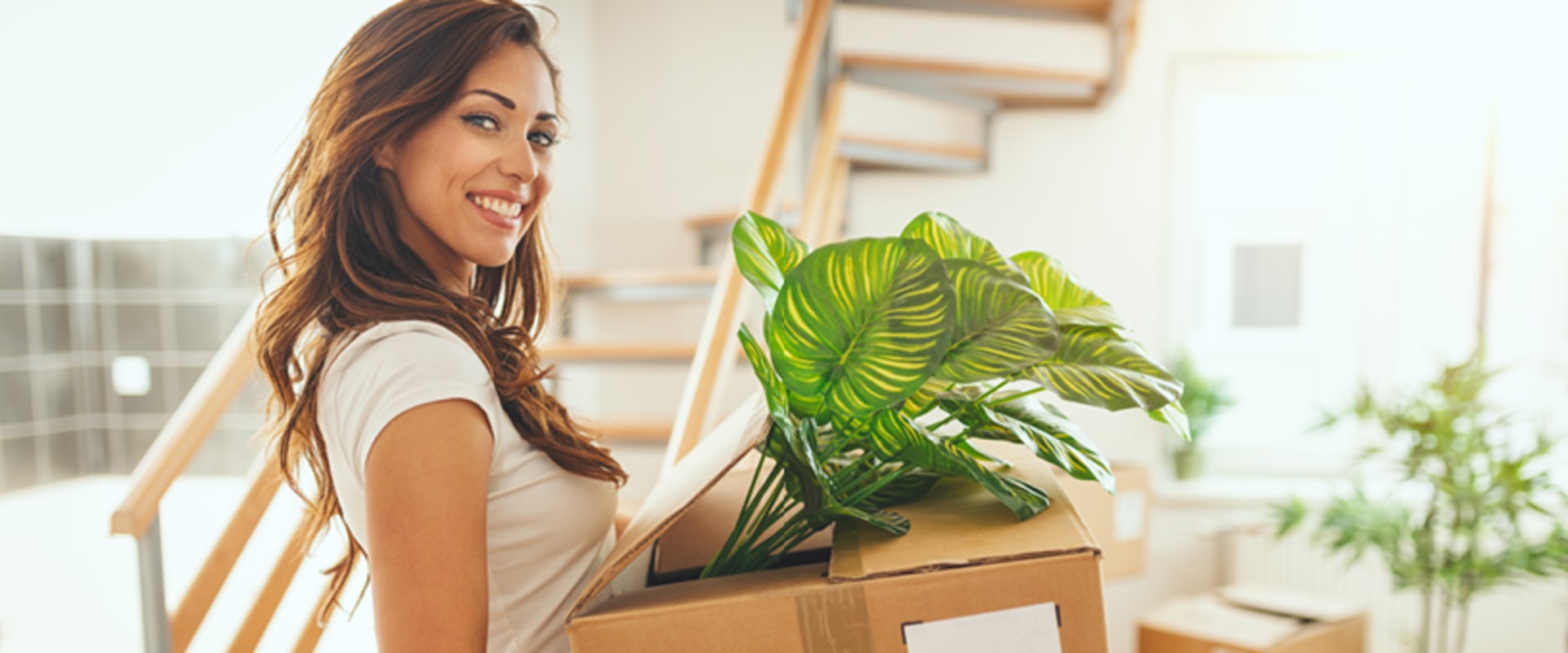 No License or Insurance: What You Need to Know Before Choosing a Moving Company